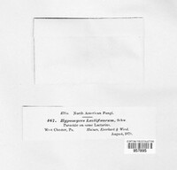 Image Associated With the Occurence